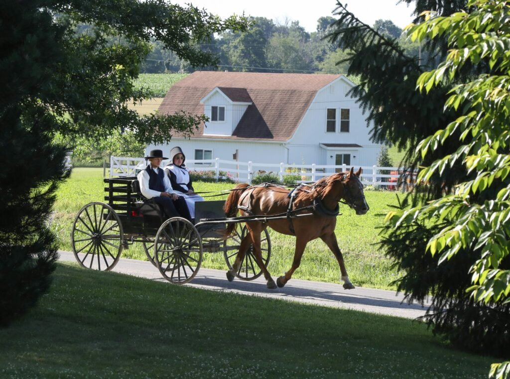 Amish couple riding a horse and carriage near a picturesque cottage