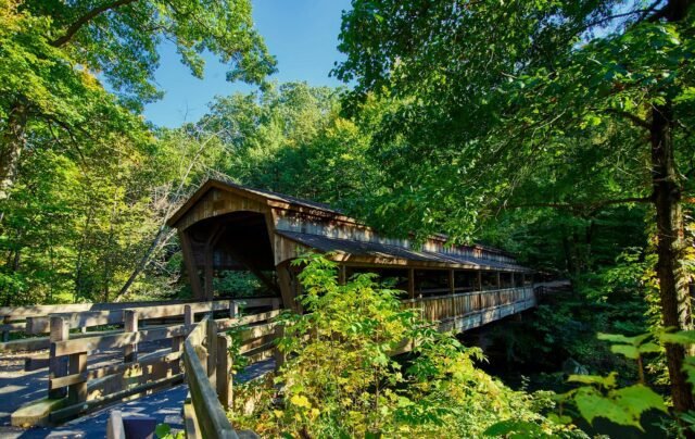 Mysterious, green, forested bridge in Youngstown OH